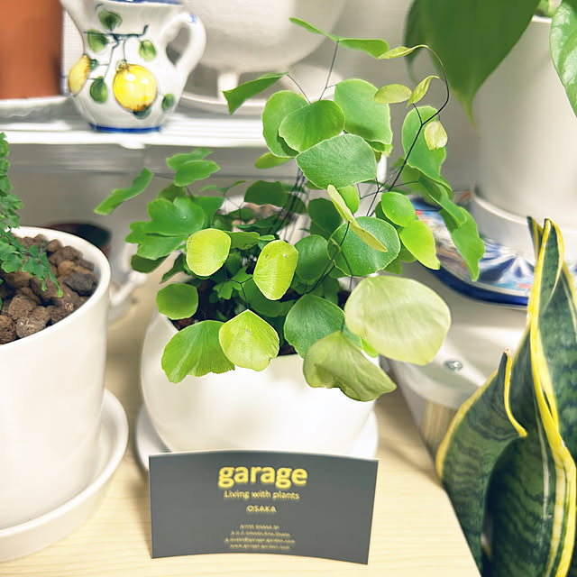 yoyoyoさんの部屋