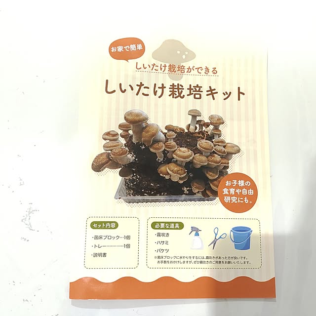 kouさんの部屋