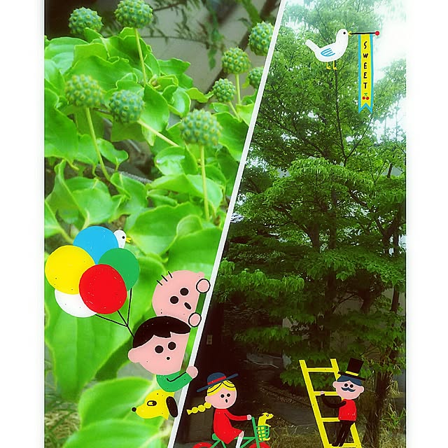cherrycherryさんの実例写真