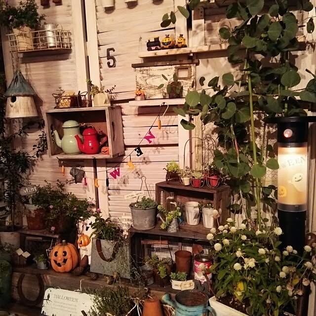 kokkomachaさんの実例写真