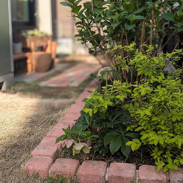 reeさんの実例写真