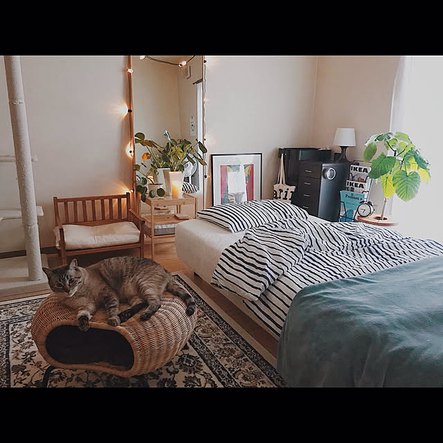 ineko_kさんの実例写真