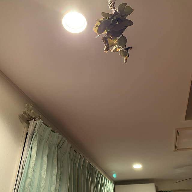 eshinobumさんの実例写真