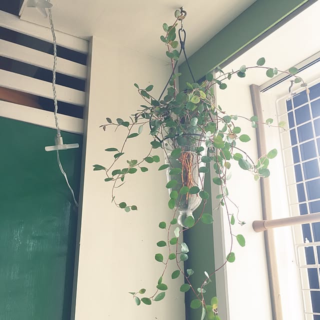 kimishigureさんの実例写真