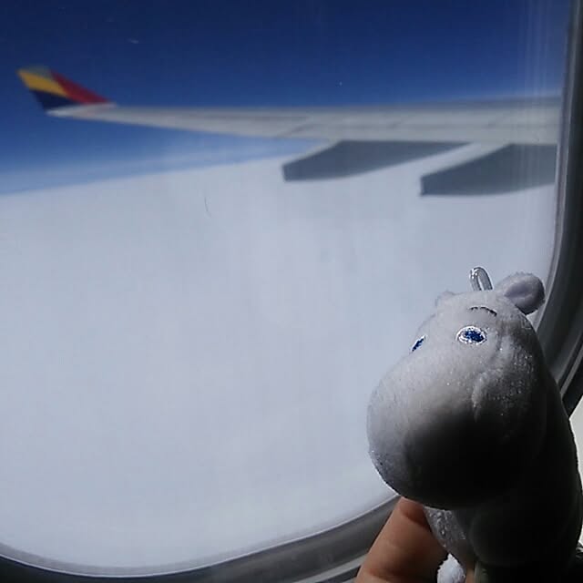 gonさんの実例写真