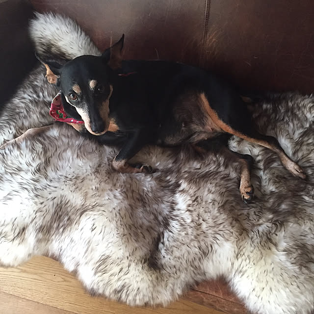 pokoさんの実例写真