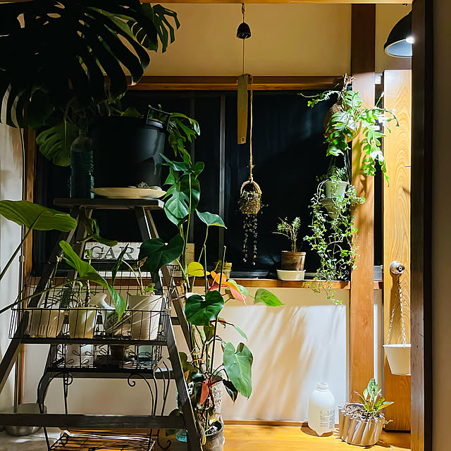 siawase.cfさんの実例写真