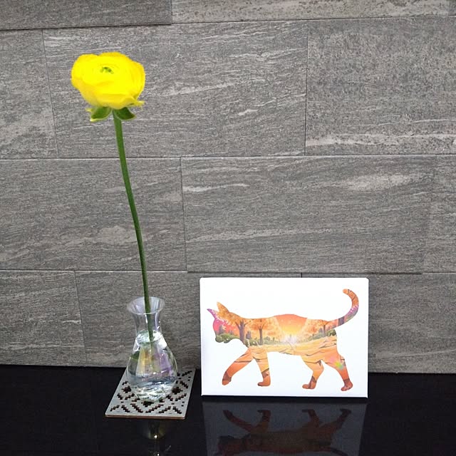 jkabmymycatさんの実例写真
