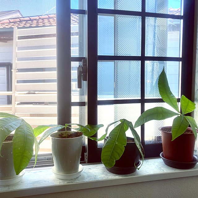 MOMOMAMAさんの部屋