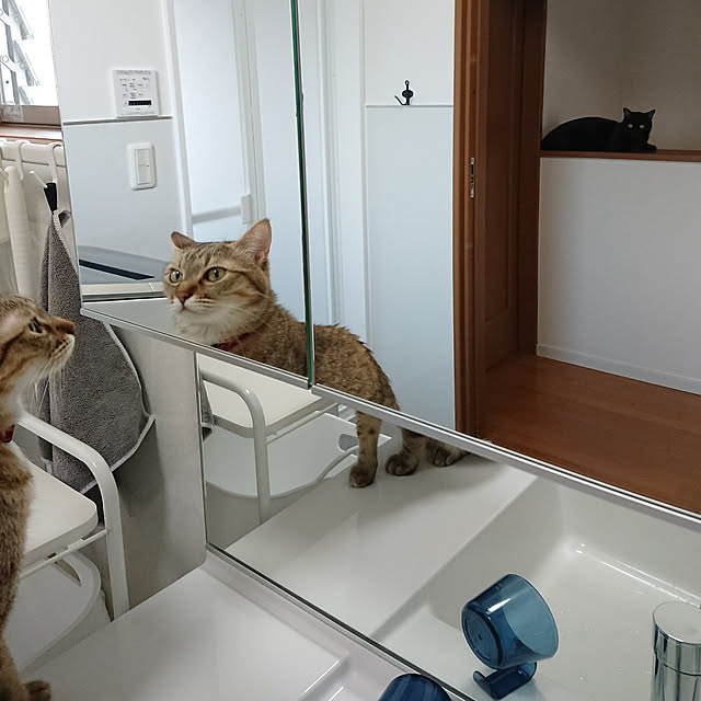 maikyさんの実例写真
