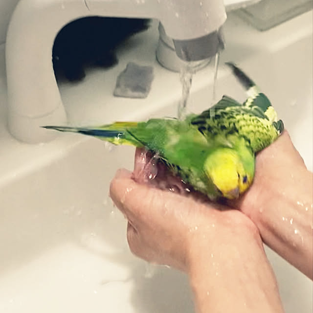ohanaさんの部屋