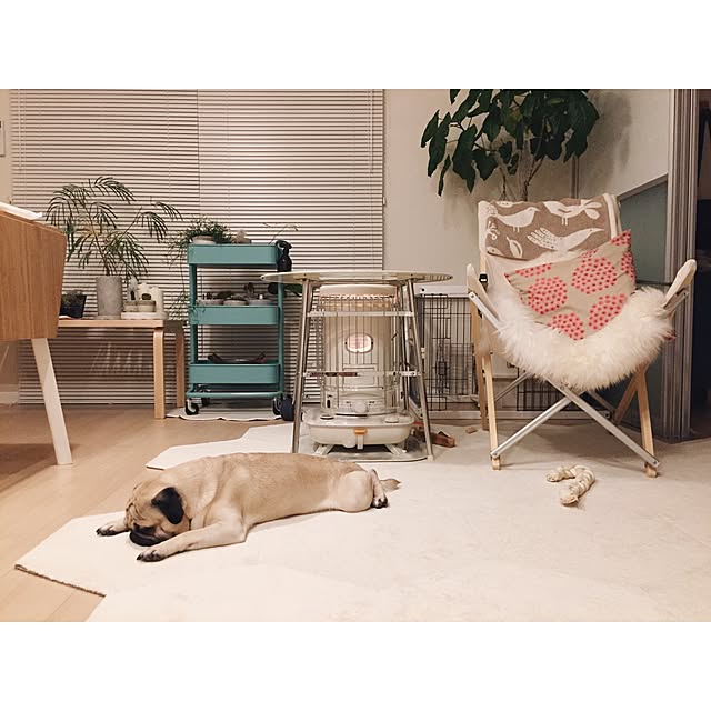 YUIさんの実例写真