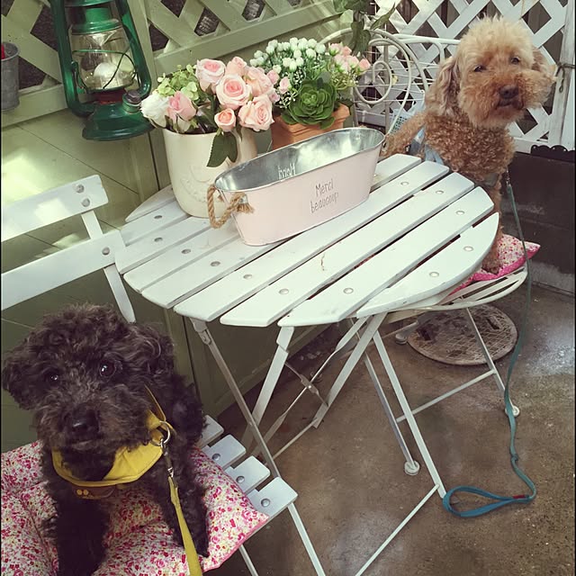 greenroseさんの実例写真