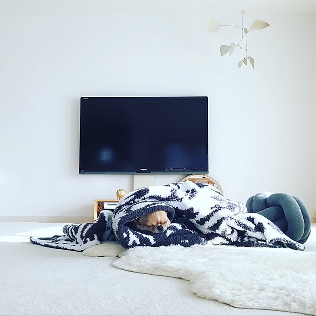 haruhinaさんの実例写真