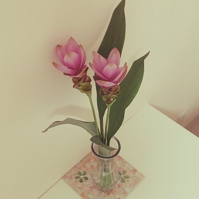 morizo_mamaさんの実例写真