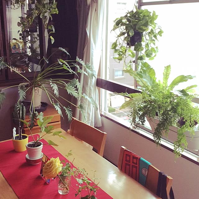 実例写真