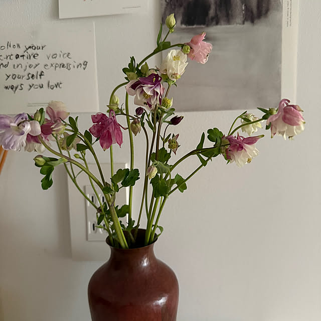 nn-homeさんの部屋