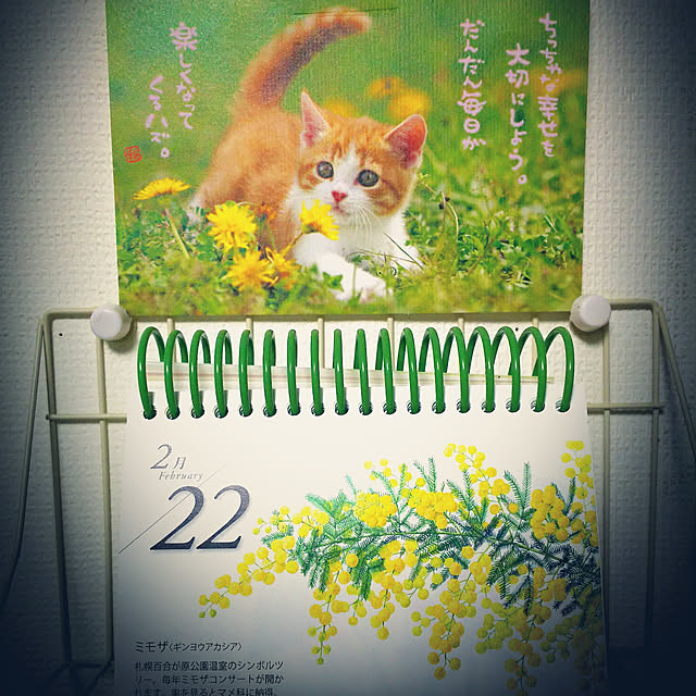 nyankonecoさんの実例写真