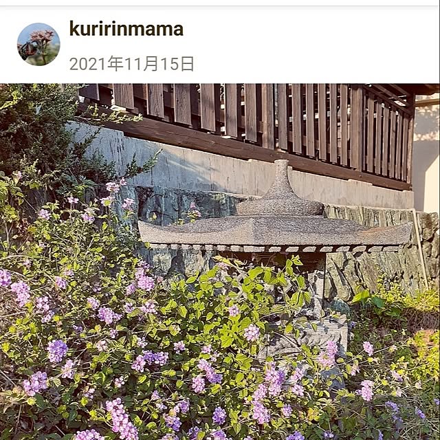 kuririnmamaさんの部屋