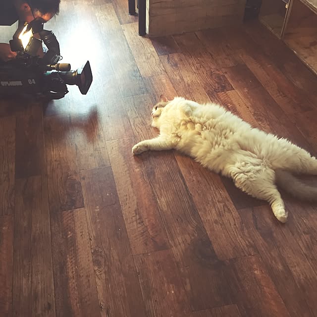 runtenさんの実例写真