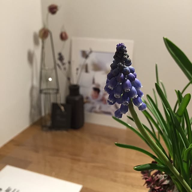 tSaさんの実例写真