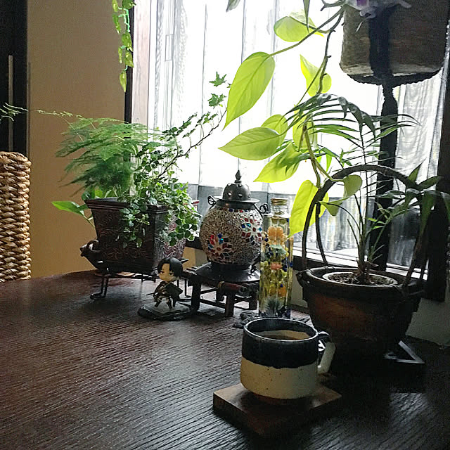cocotaiさんの実例写真