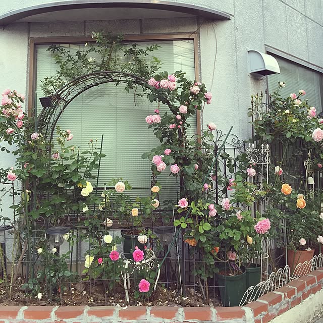 greenroseさんの実例写真