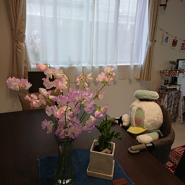 totoroさんの実例写真