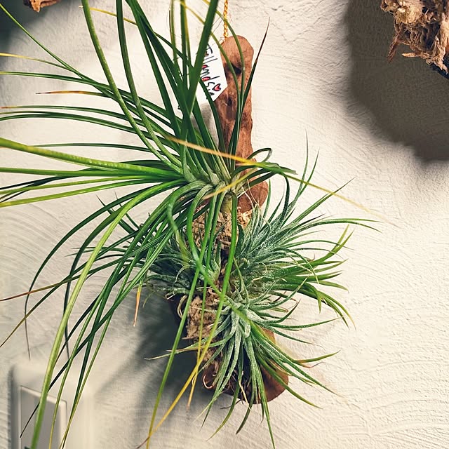 nacchanさんの部屋