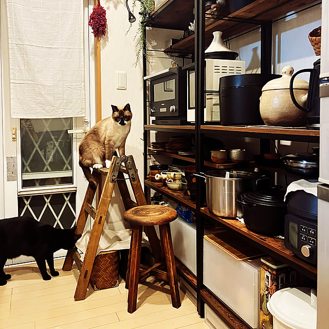 43さんの部屋