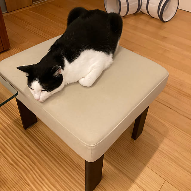 aruさんの実例写真