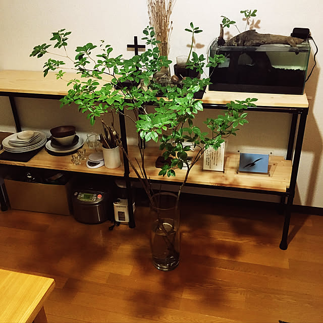 Enjoy7さんの実例写真