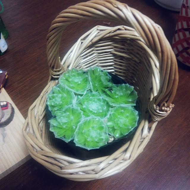 momodarumaさんの実例写真
