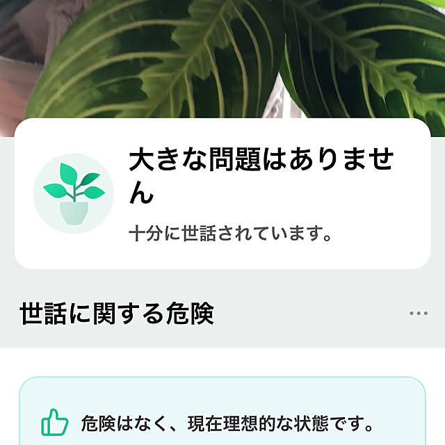 mochi2usagiさんの部屋