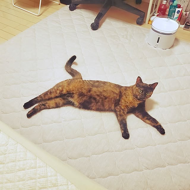 JIHYEの-ラグ 洗える 夏用 夏用ラグ ラグマット カーペット コットン リネン キルトラグ 約185×185cm(Mサイズ/約2畳相当) ER-015 おしゃれ 北欧 韓国インテリア シンプル ベビー 赤ちゃん 滑り止め 綿 麻 秋 冬 オールシーズンの家具・インテリア写真