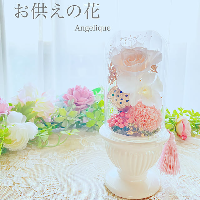 angeliqueさんの部屋