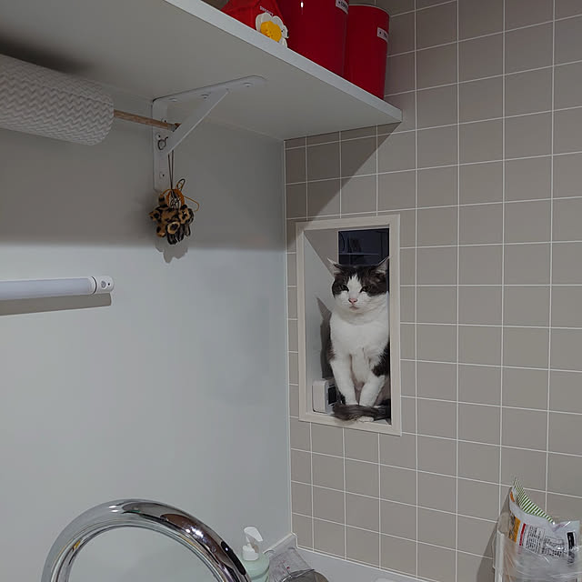 ninimomoさんの実例写真