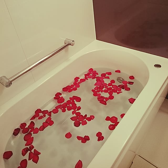 monoloveさんの実例写真