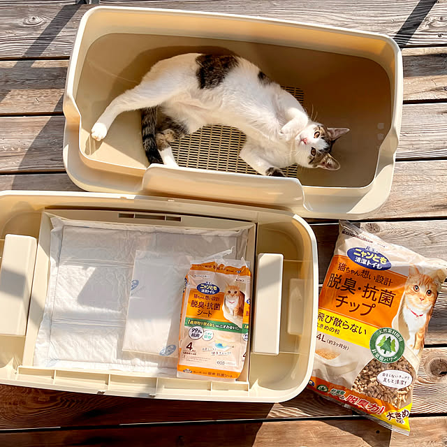 sakurasakuさんの部屋