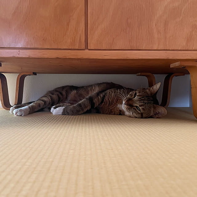maruさんの実例写真