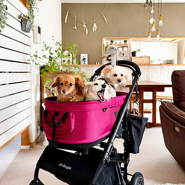 chachamamaさんの実例写真