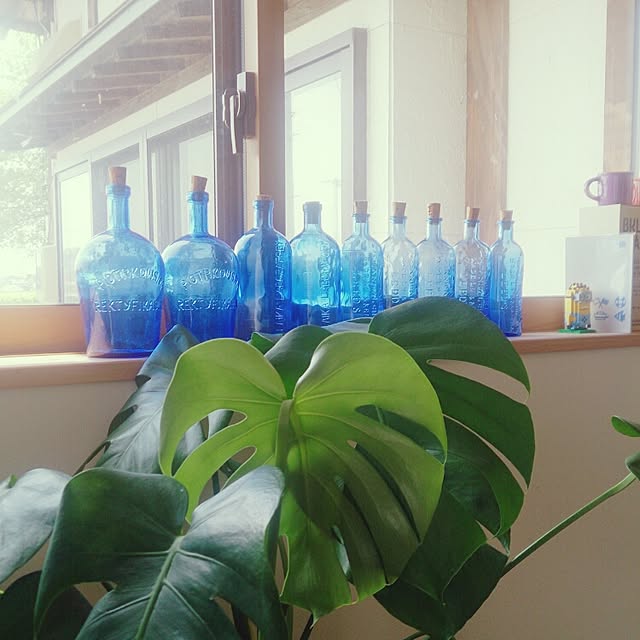 useimama83132513さんの実例写真