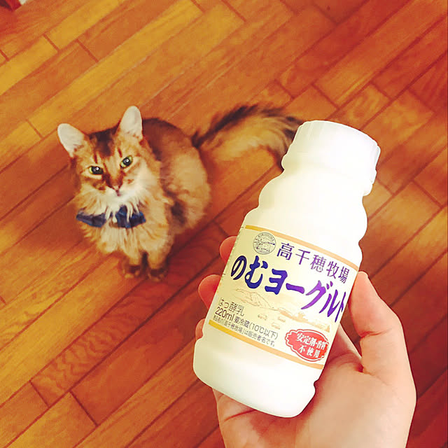 yukarinさんの実例写真