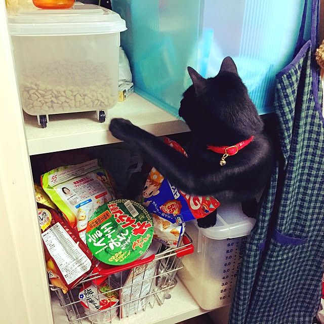 nanaさんの実例写真