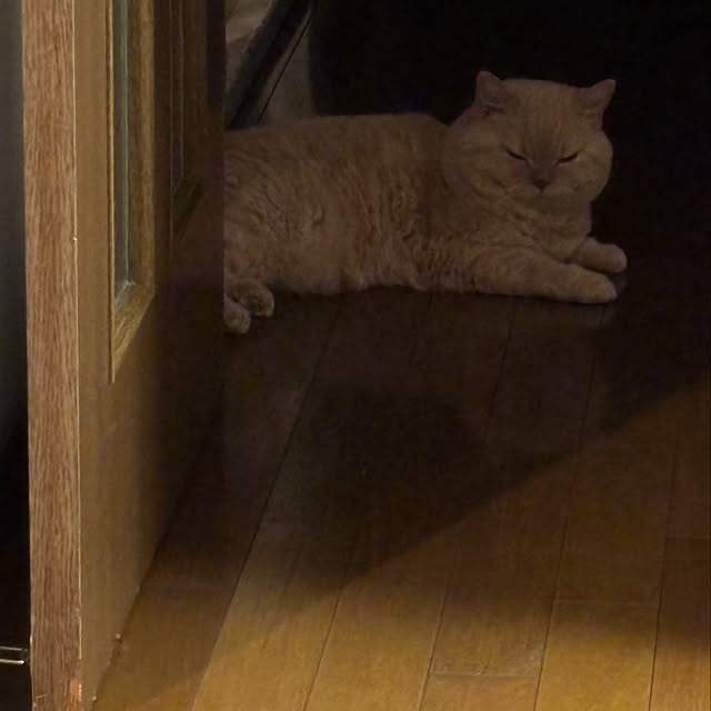 naokoさんの部屋