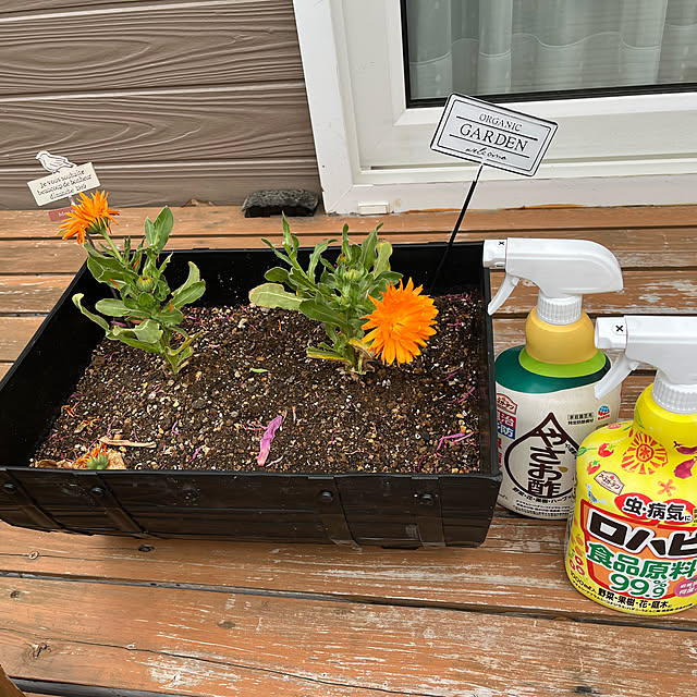 mogumoguさんの部屋