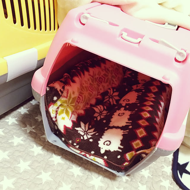 moiさんの実例写真