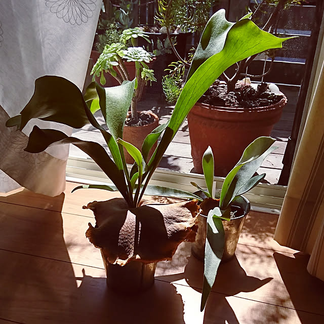natuさんの実例写真