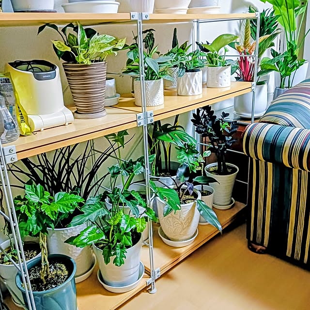 hanachanさんの部屋
