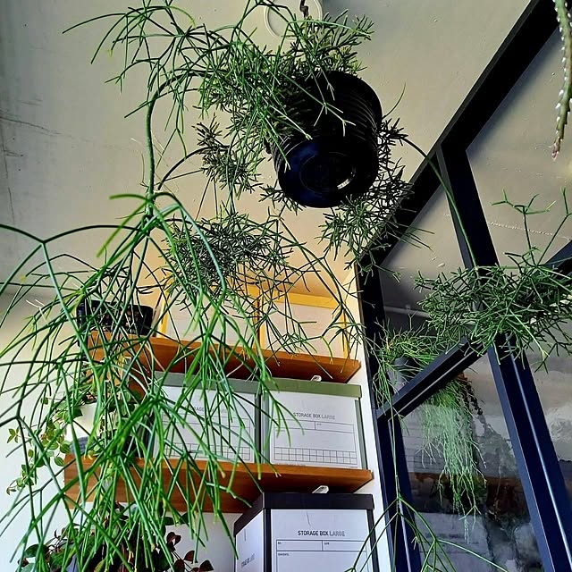 Rさんの部屋